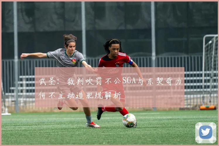 武圣：裁判吹罚不公SGA与东契奇为何不主动造犯规解析