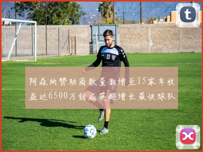阿森纳赞助商数量激增至15家年收益达6500万镑成英超增长最快球队