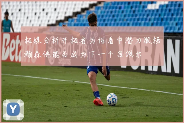 拓媒分析开拓者为何看中潜力股杨瀚森他能否成为下一个吕佩尔